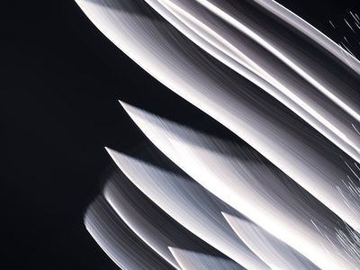 Rhythmic light patterns on a dark wall during exercise.